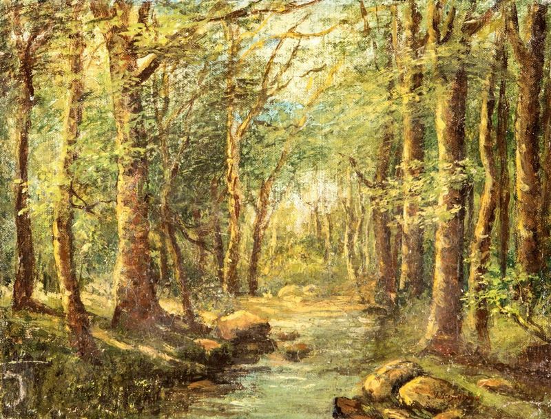 Vittorio Bussolino - Bosco