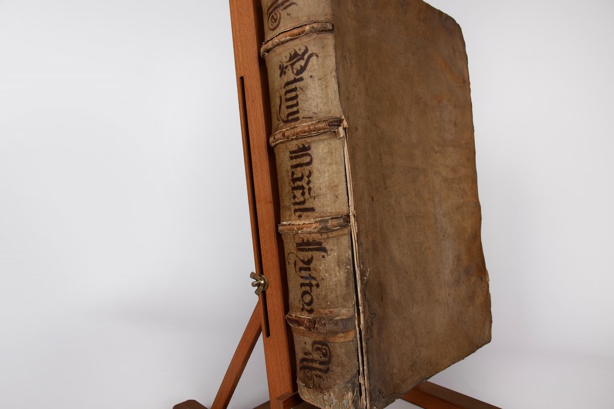 C. Plinii Secundi, Historiae Mundi, Libri XXXVII. a Sigismundo Gelenio Castigati