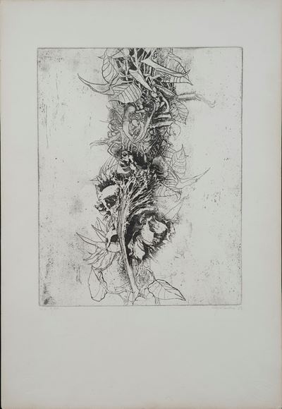 Vegetazione