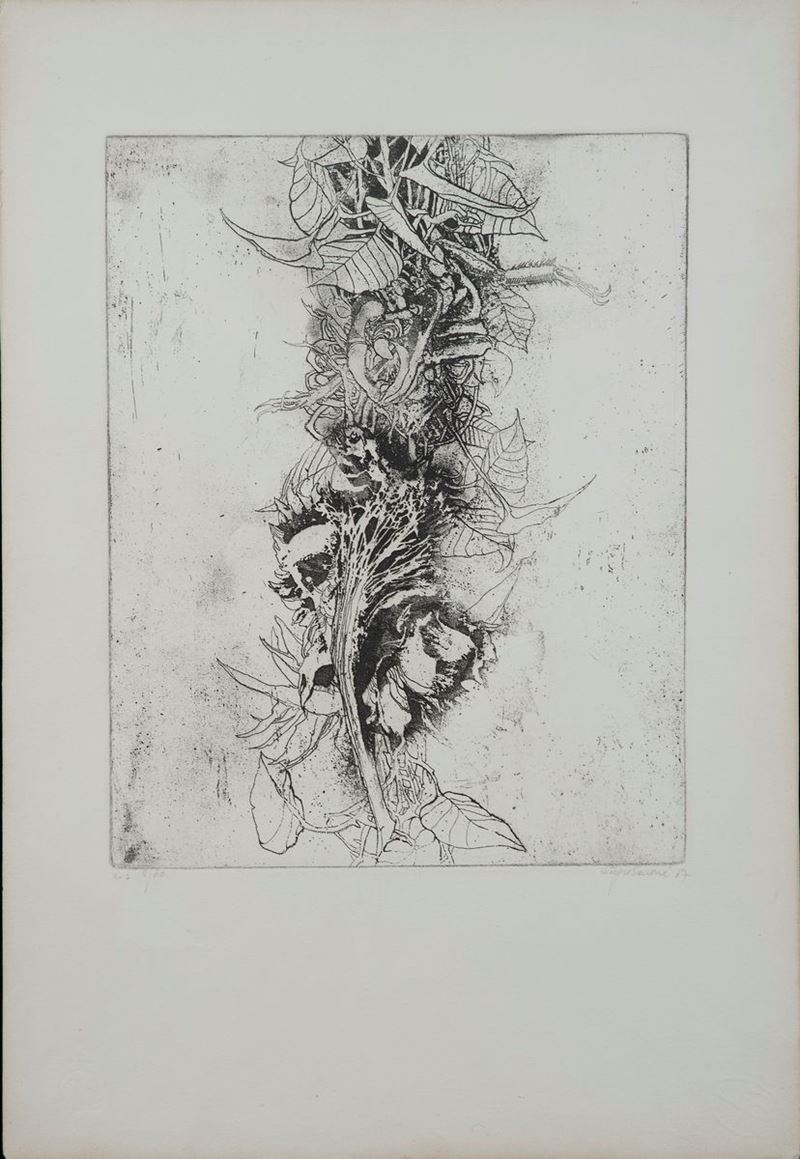 Sergio Saroni - Vegetazione