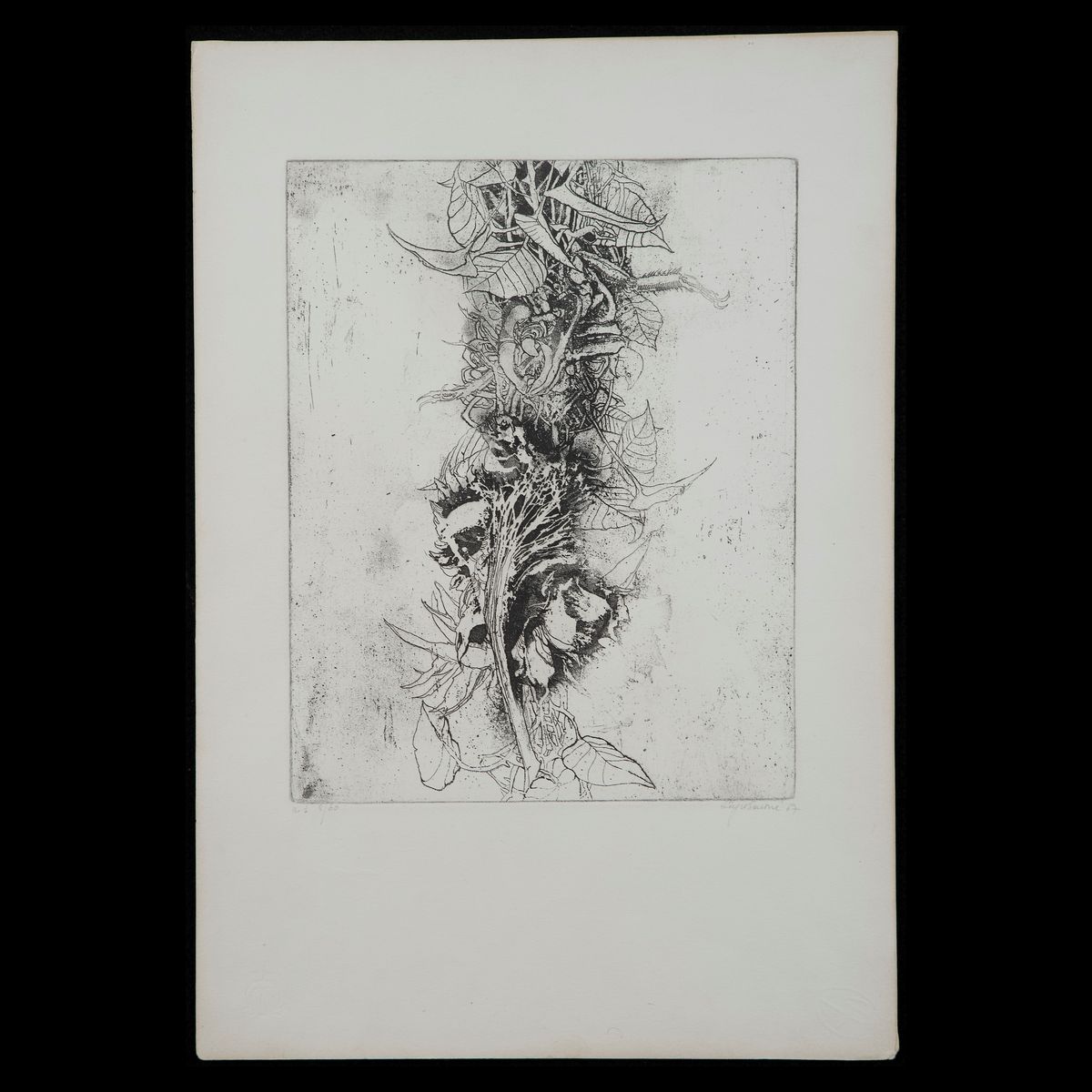 Sergio Saroni - Vegetazione