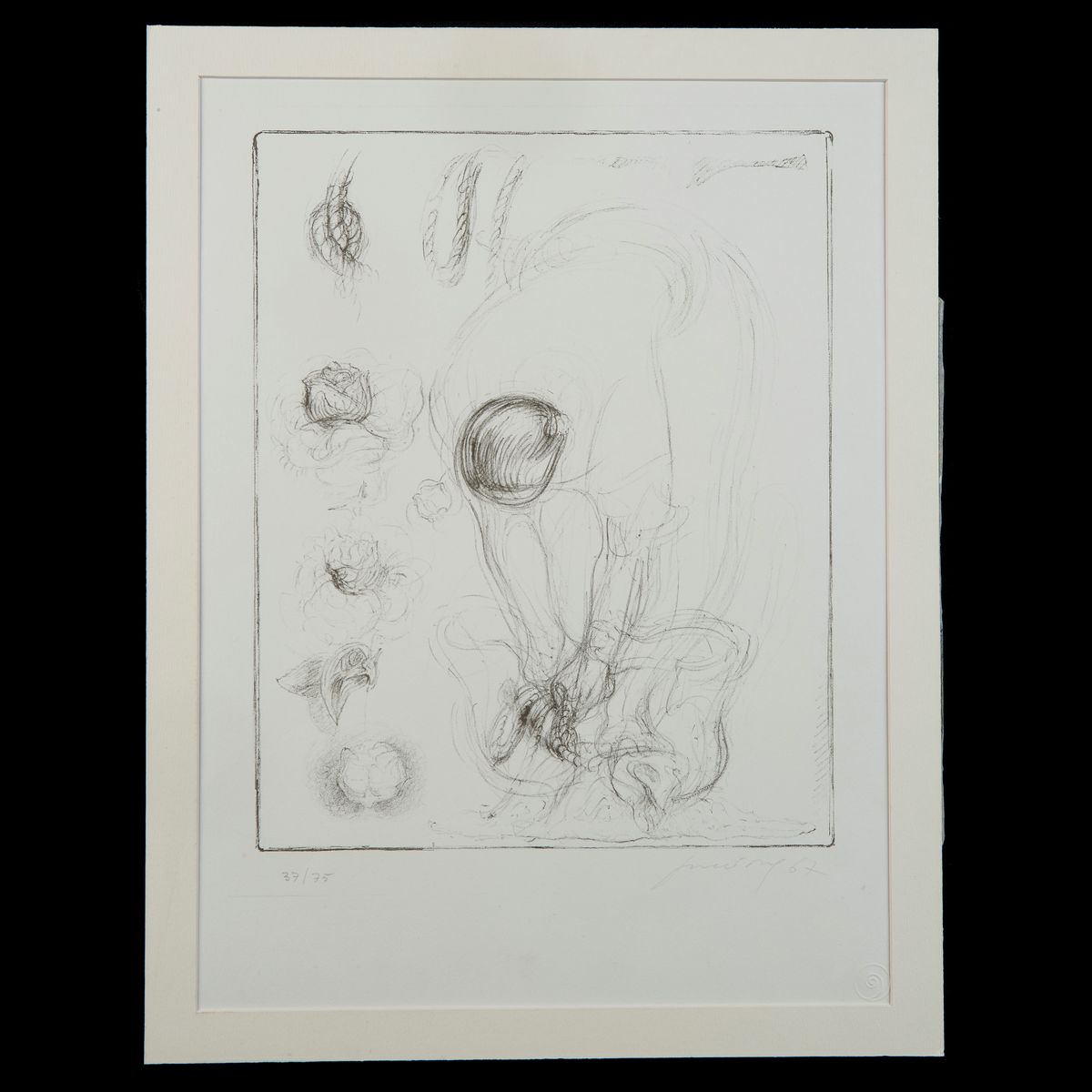 Piero Guccione - Da Signorelli
