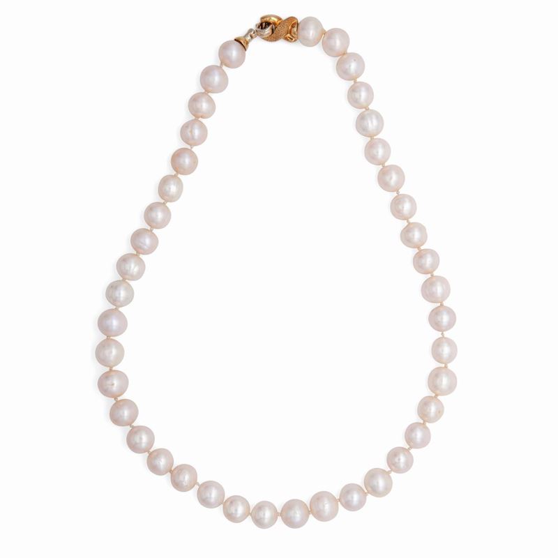 Collana di Perle con Chiusura in Oro