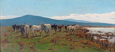 Maremma