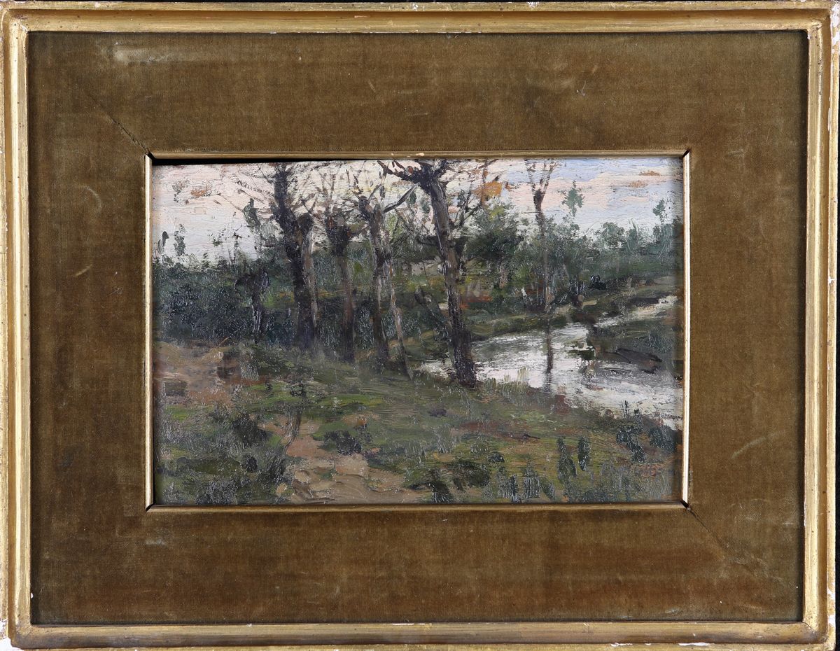 Giovanni Apollonio - Bosco