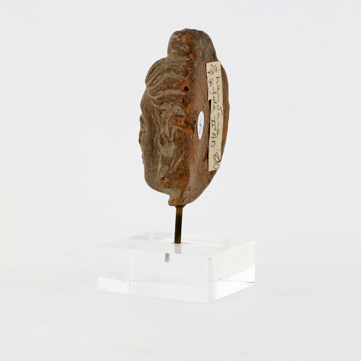 Piccola Testa di Buddha in Terracotta, Arte del Gandhara