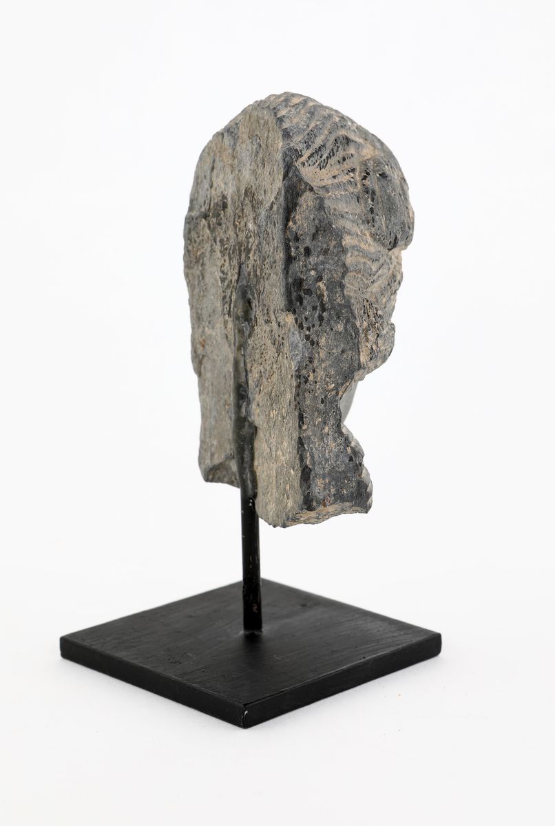 Piccola Testa Femminile in Scisto Nero, Arte del Gandhara