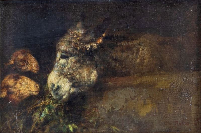 Tito Pellicciotti - Asinello