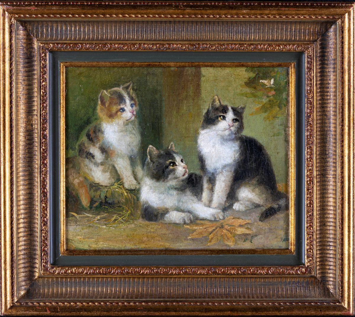 Pittore della Fine del XIX Secolo - Gatti