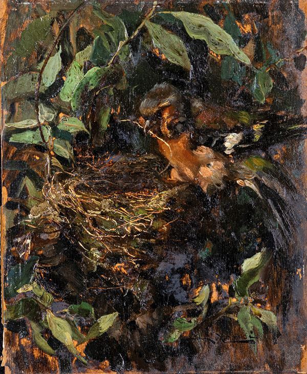 Marino Lenci - Il pettirosso costruisce il nido
