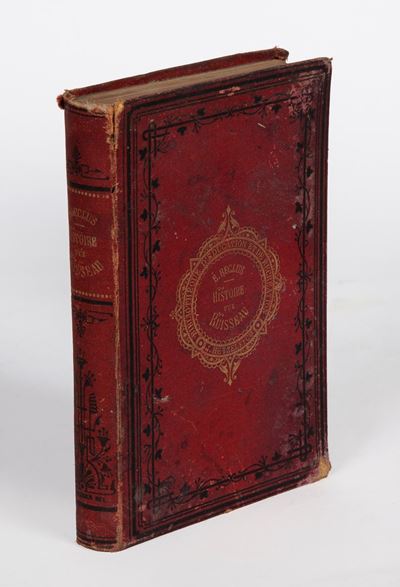 Elisee Reclus, Histoire D'un Ruisseau