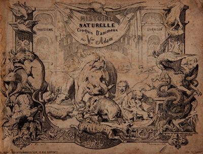 Victor Adam. Histoire Naturelle Croquis D'animaux