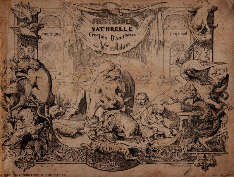 Victor Adam. Histoire Naturelle Croquis D'animaux