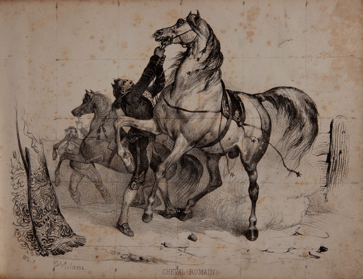 Victor Adam. Histoire Naturelle Croquis D'animaux