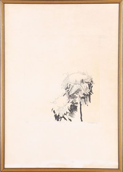 Fiori Secchi