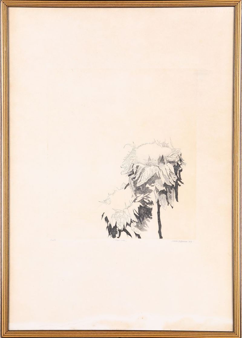 Attilio Steffanoni - Fiori Secchi