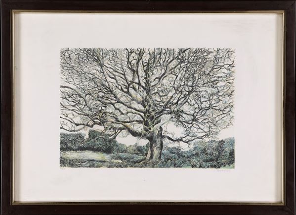 Robert Carroll : Bosco con albero  (1983)  - Litografia - Asta Asta a Tempo - Arte Moderna e Contemporanea - Casa d'Aste Arcadia