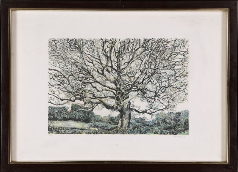 Robert Carroll - Bosco con Albero