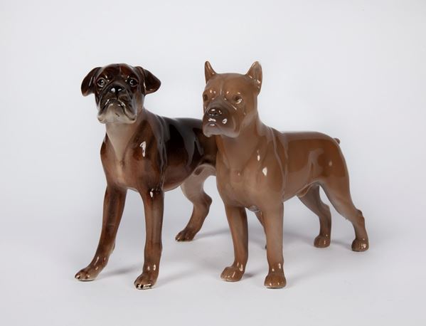 Due figure di cane boxer in ceramica policroma