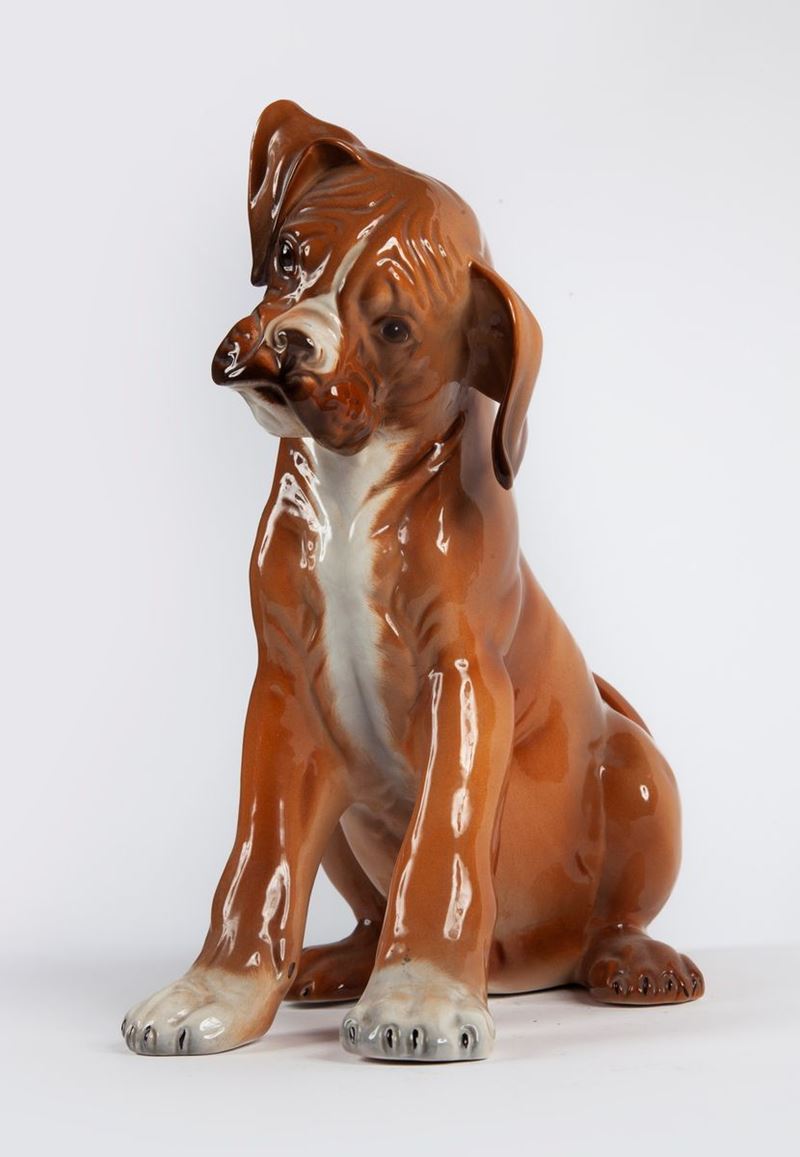 Cucciolo di Boxer in Ceramica Policroma