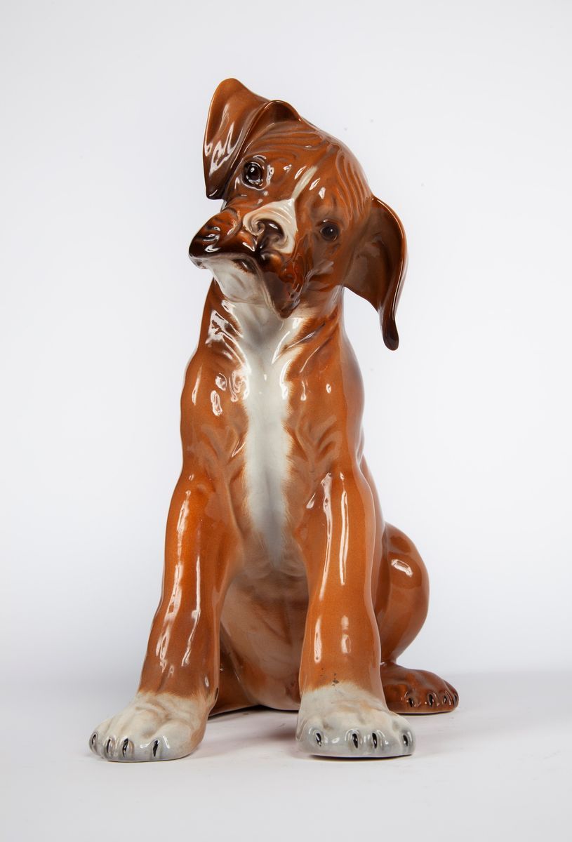 Cucciolo di Boxer in Ceramica Policroma