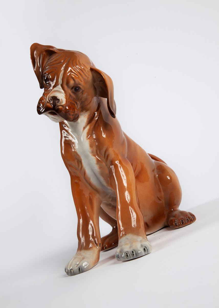 Cucciolo di Boxer in Ceramica Policroma