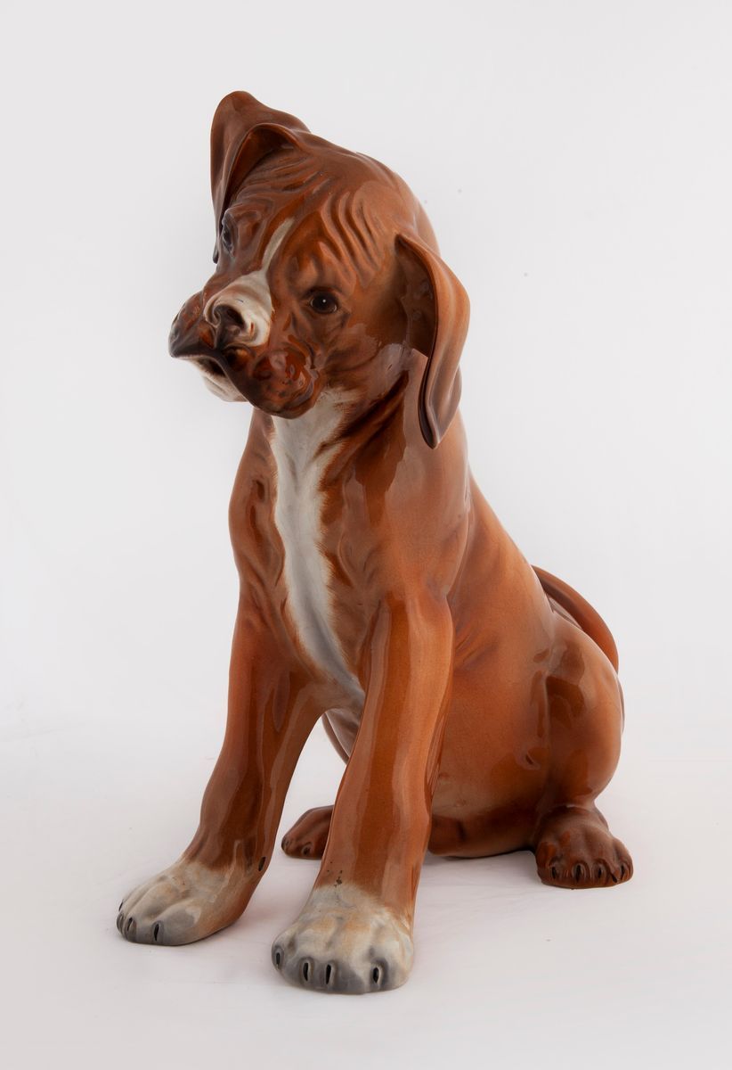 Cucciolo di Boxer in Ceramica Policroma