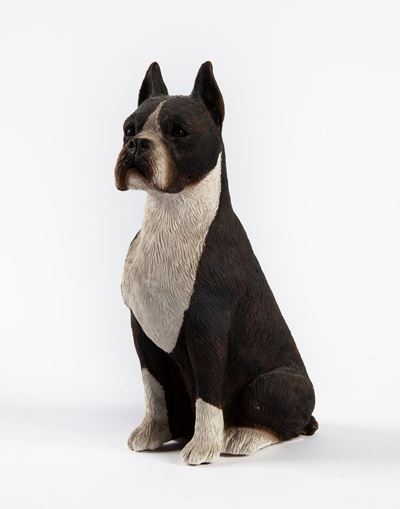 Figura di Boxer Brindle, Usa