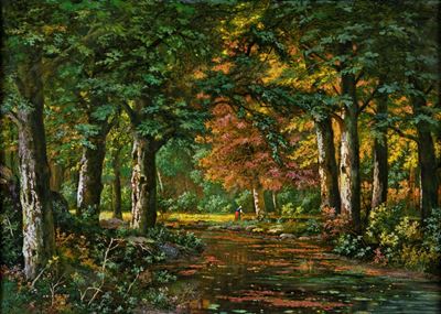 Paesaggio Boschivo