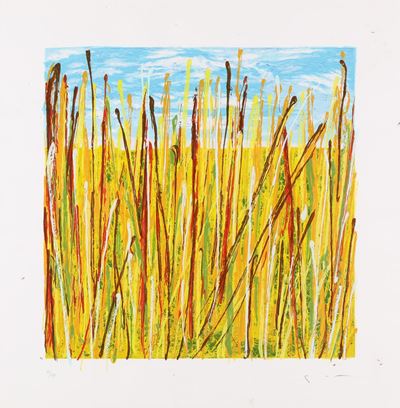 Campo di Grano