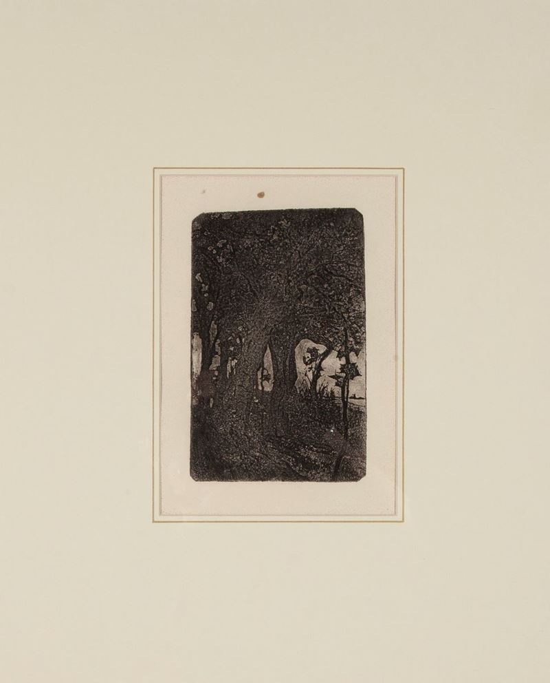 Giovanni Fattori - Bosco