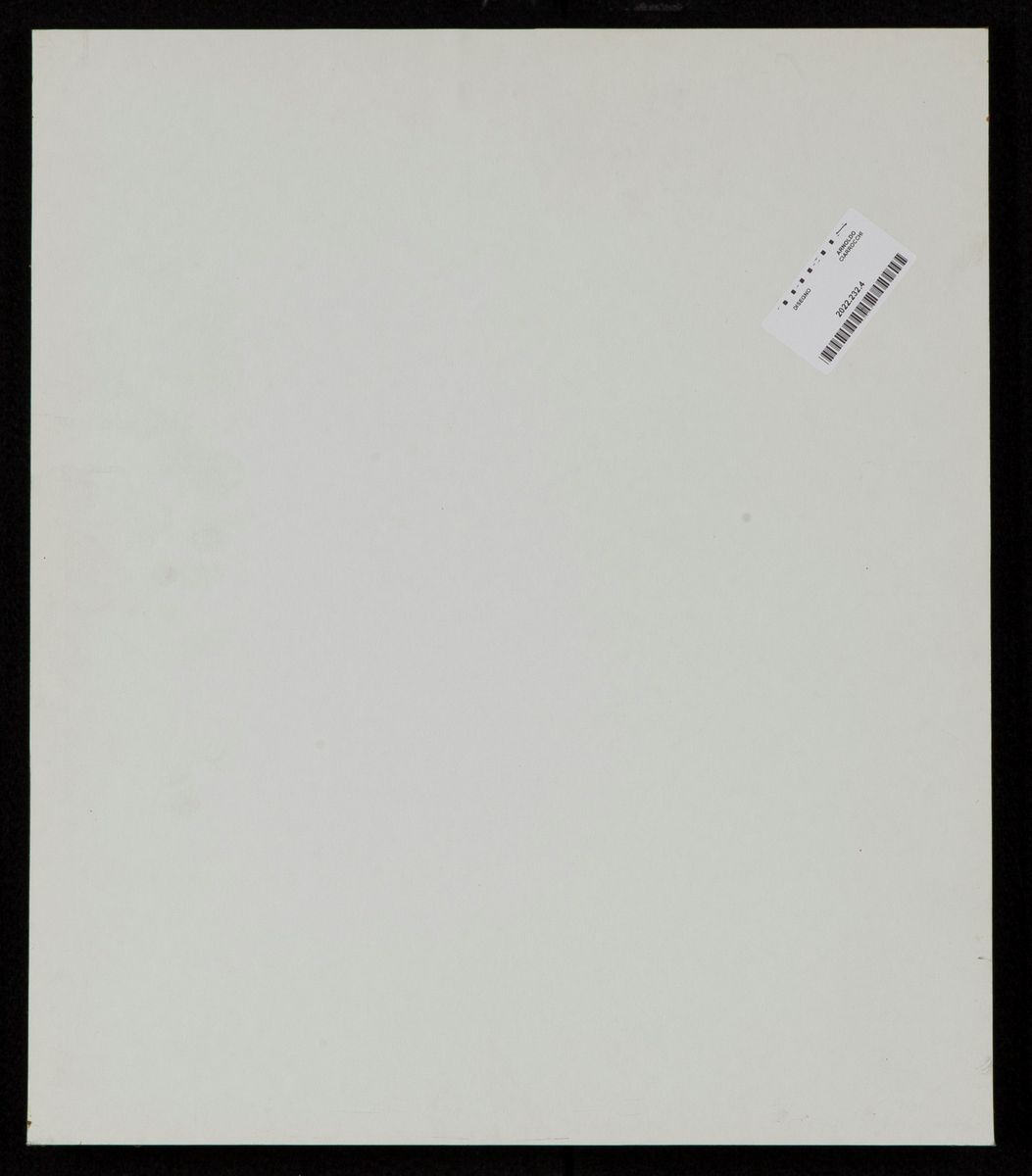 Arnoldo Ciarrocchi - Due Figure
