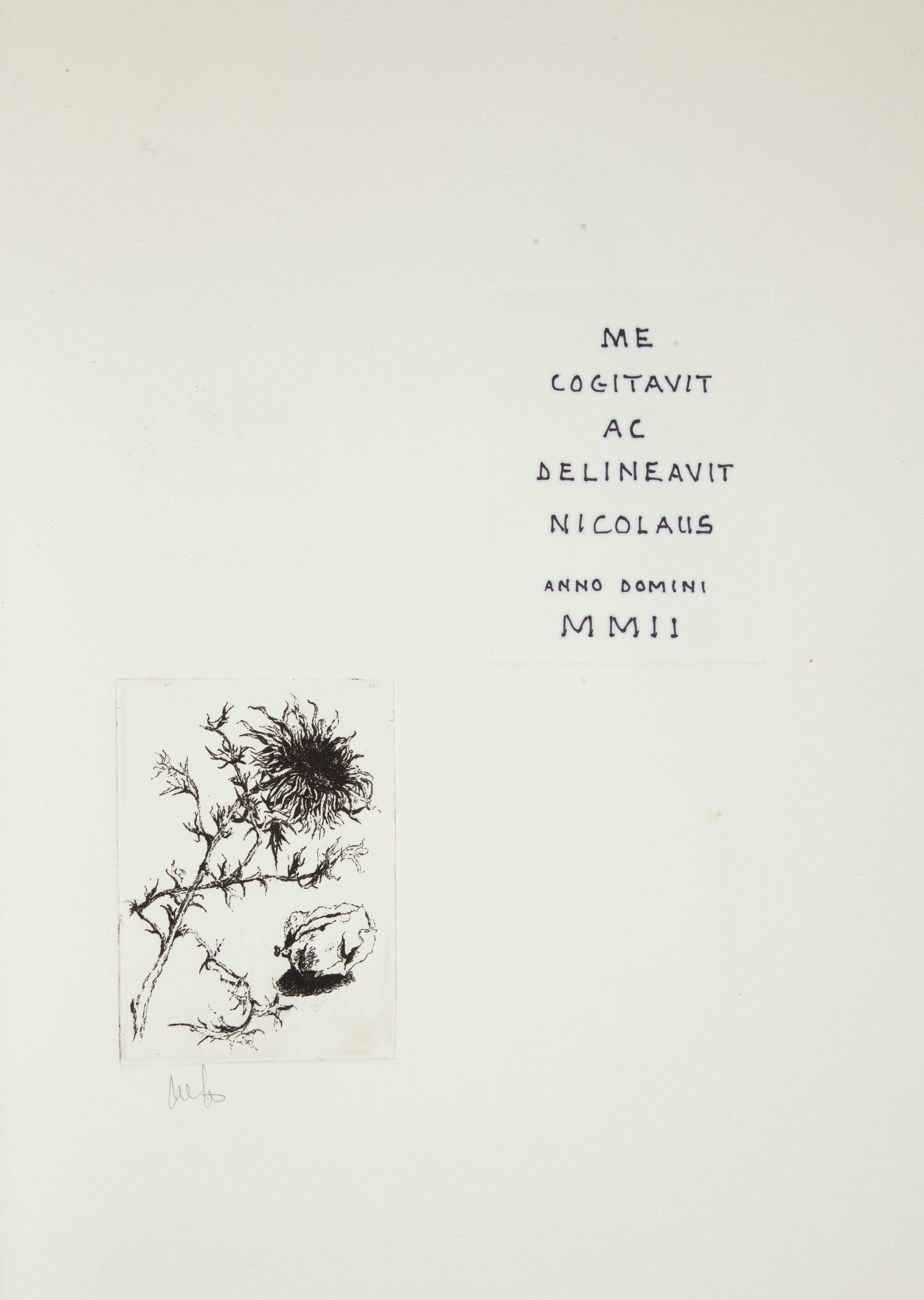 Nicola Montanari - La mia Marca in punta d'acciaio. Con 16 acqueforti. Introduzione di Armando Gi...