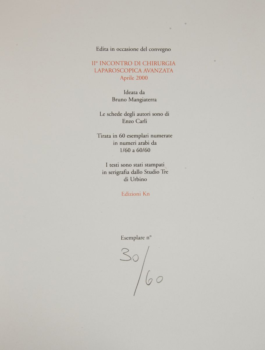 Armando Ginesi. Passaggio di Frontiera