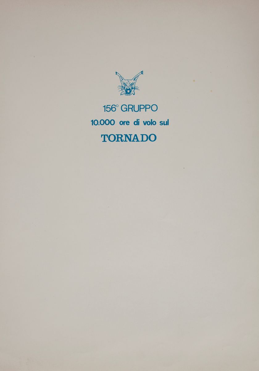 Domenico Fiorentino . Lotto di Due Opere Serigrafiche sul Cacciabombardiere "tornado"