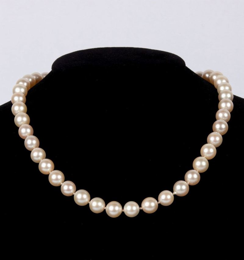 Collana di Perle Chiusura in Oro