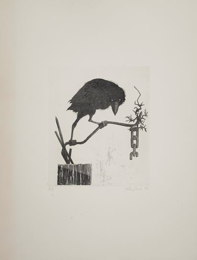 Il Corvo