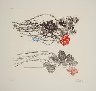 Anemoni