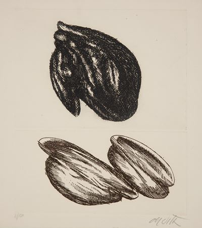 Noci