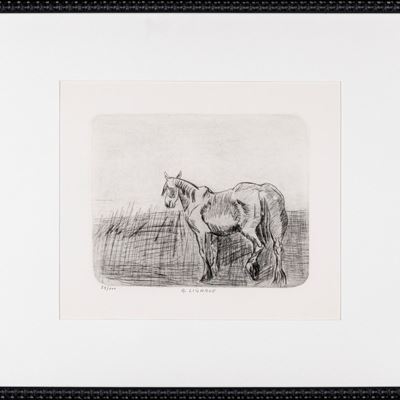 Cavallo