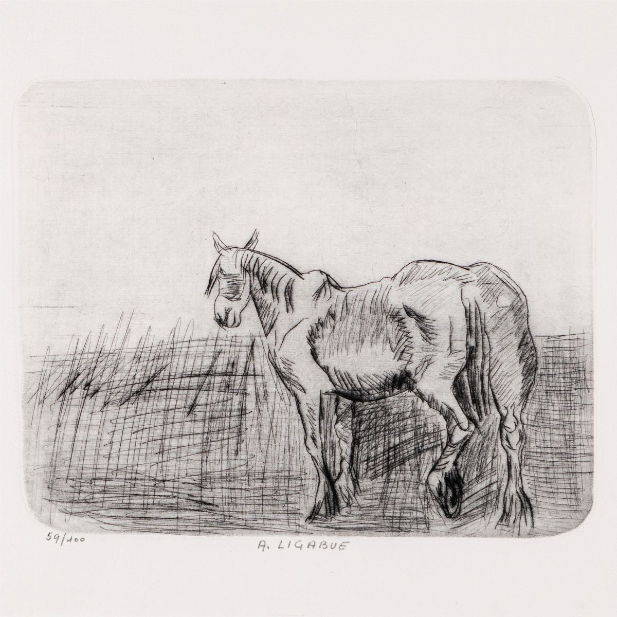 Antonio Ligabue - Cavallo