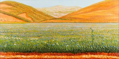 Le Lenticchie di Castelluccio