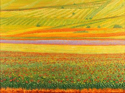 I Colori di Castelluccia