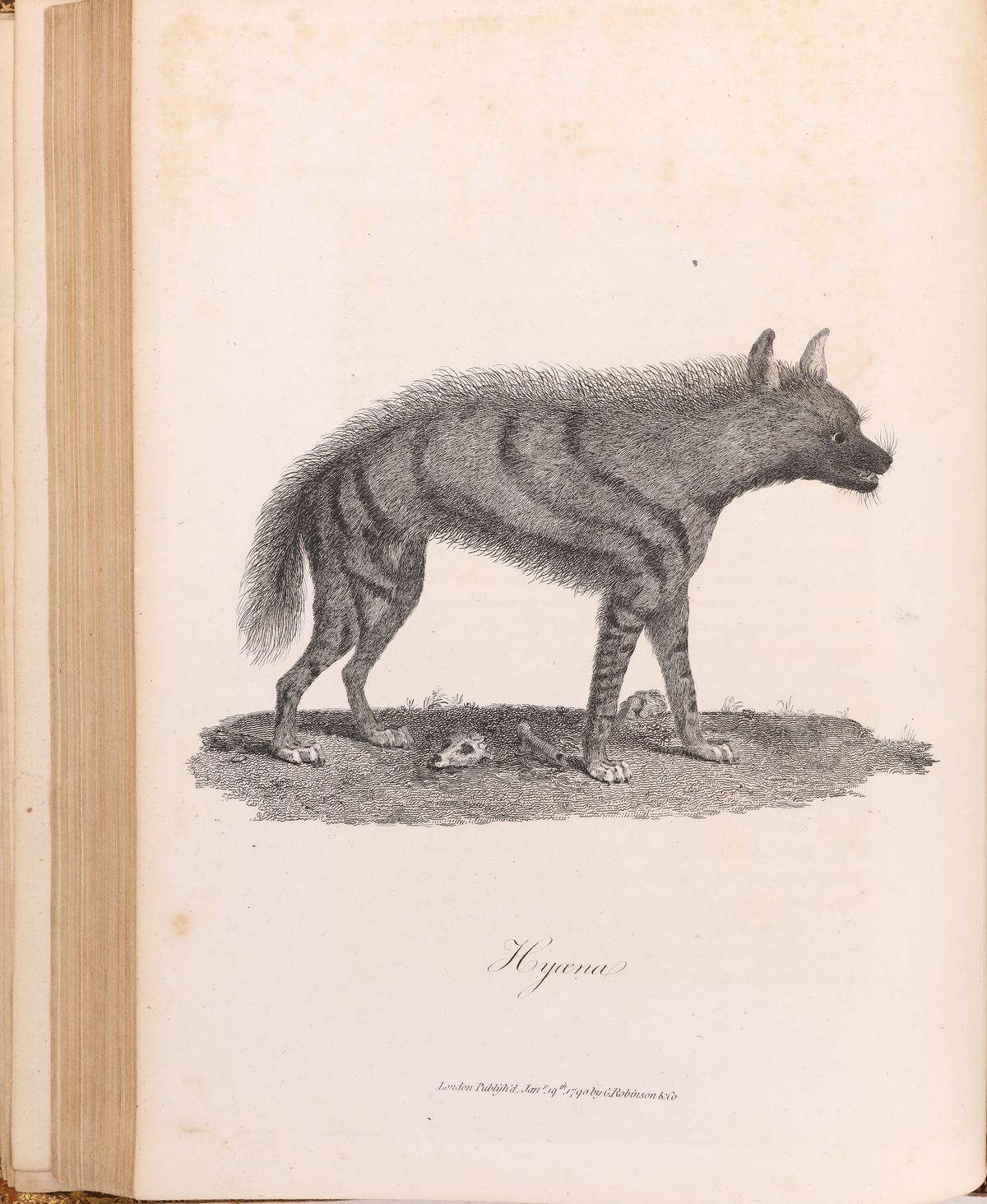 James Bruce Of Kinnard. Travels To Discover The Source Of The Nile in The Years 1768, 1769, 1770,...