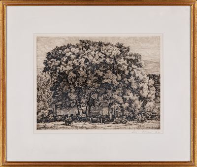 The Big Willows