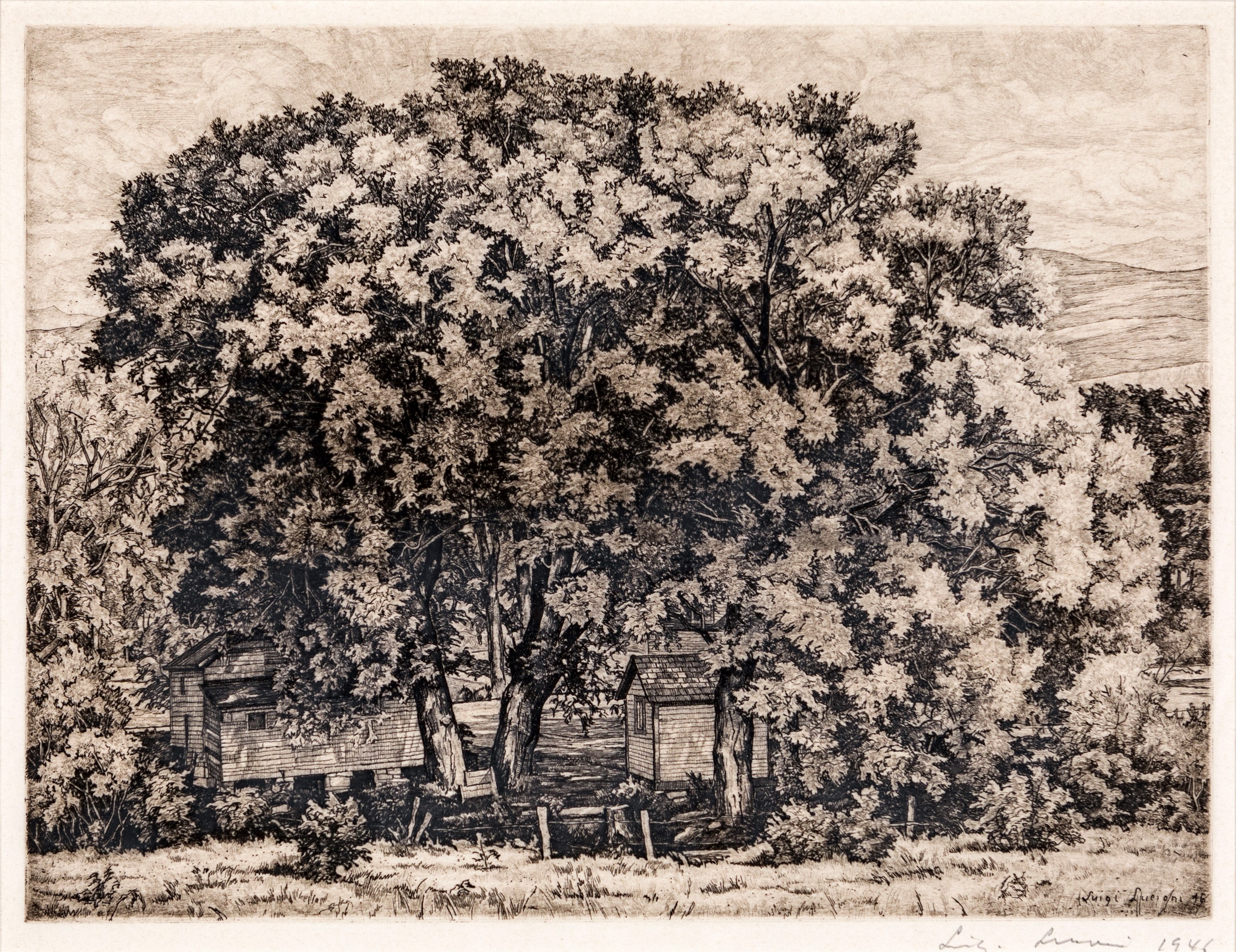 Luigi Lucioni - The Big Willows
