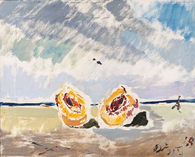Pesca sulla Spiaggia