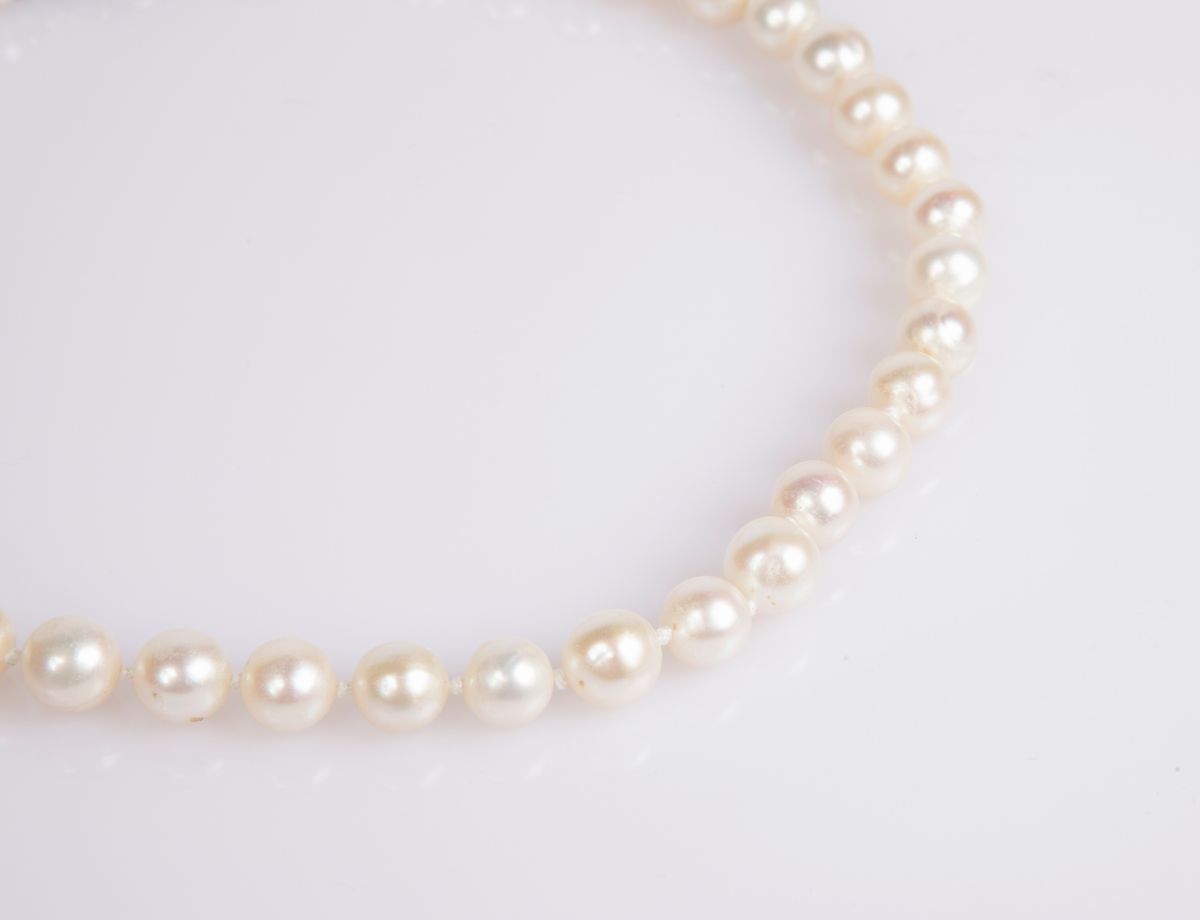 Collana di Perle Freshwater e Argento