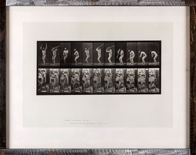 Animal Locomotion (10 Sport Studies) Plate 308