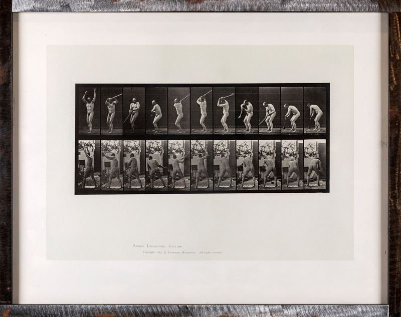 Eadweard Muybridge - Animal Locomotion (10 Sport Studies) Plate 308